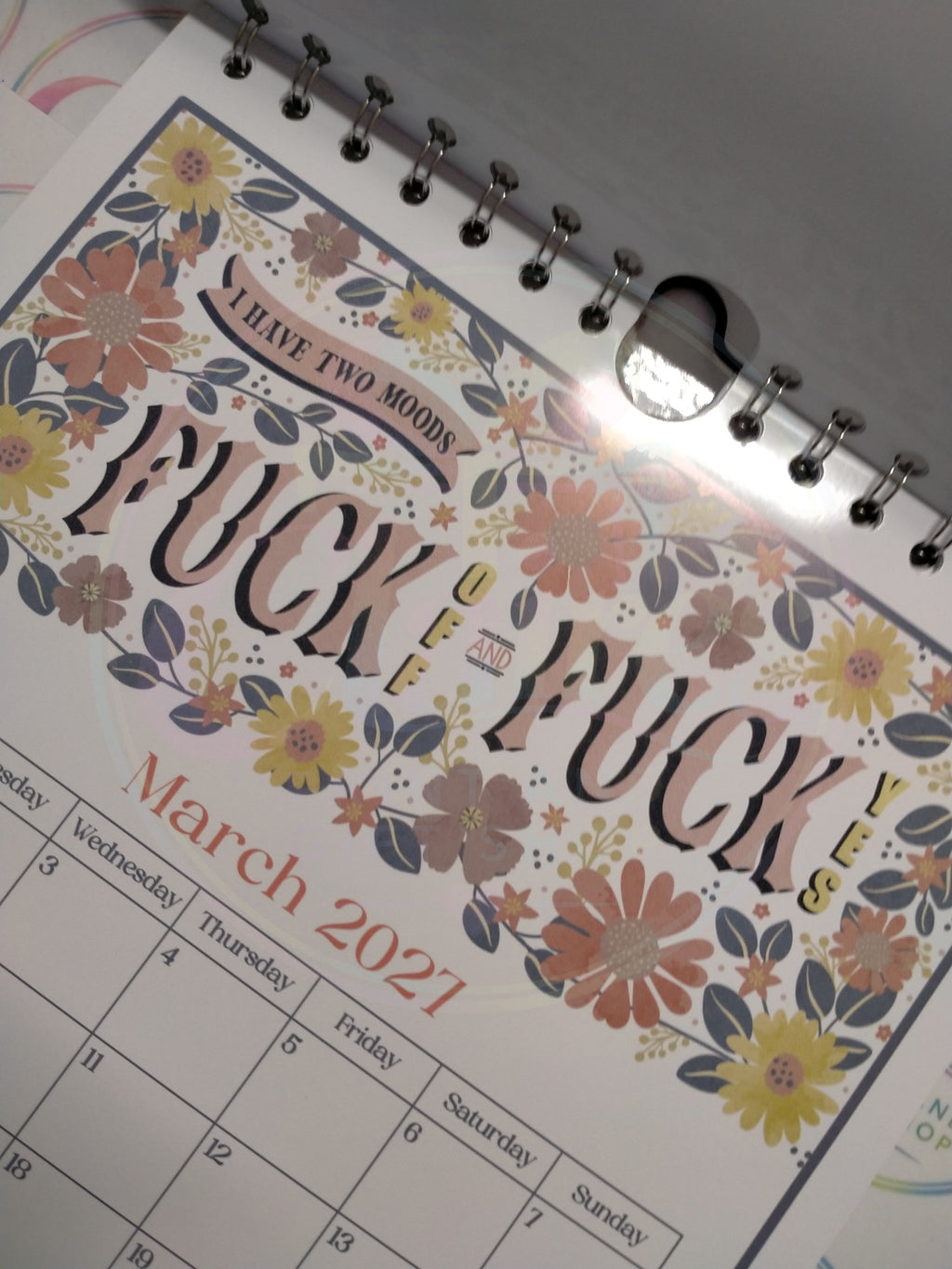 Another Year Of Fuckery 2027 A4 Calendar