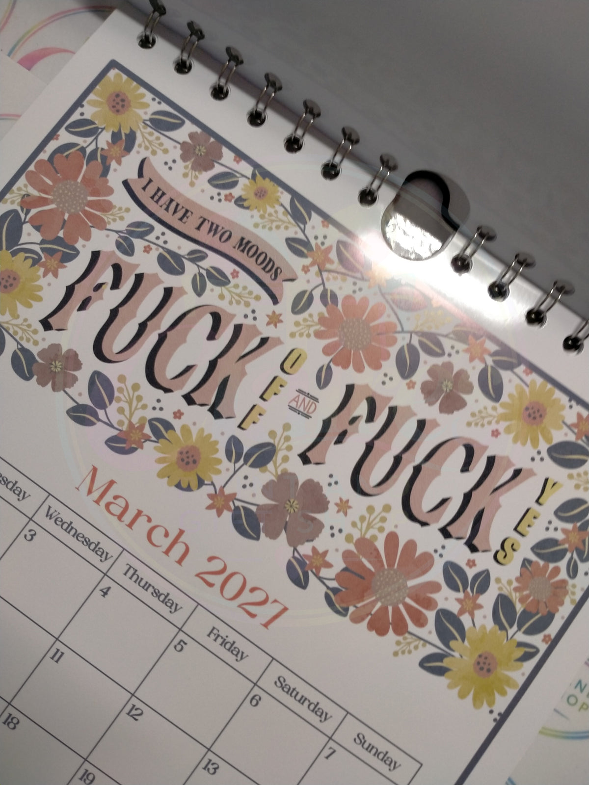 Another Year Of Fuckery 2027 A4 Calendar