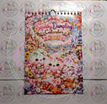 Front cover of the A4 Squishy Dumpling 2027 wirebound calendar
