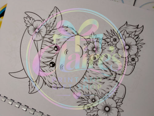 A4 Highland Cow Colouring Book