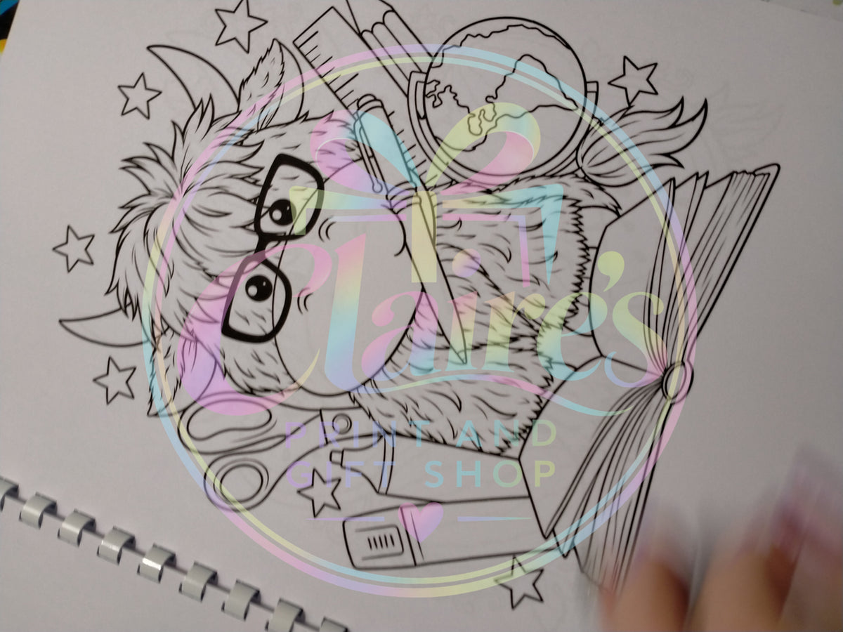 A4 Highland Cow Colouring Book