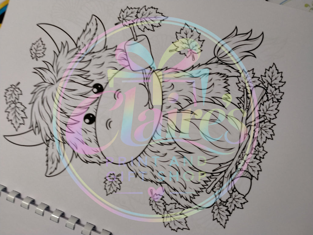 A4 Highland Cow Colouring Book