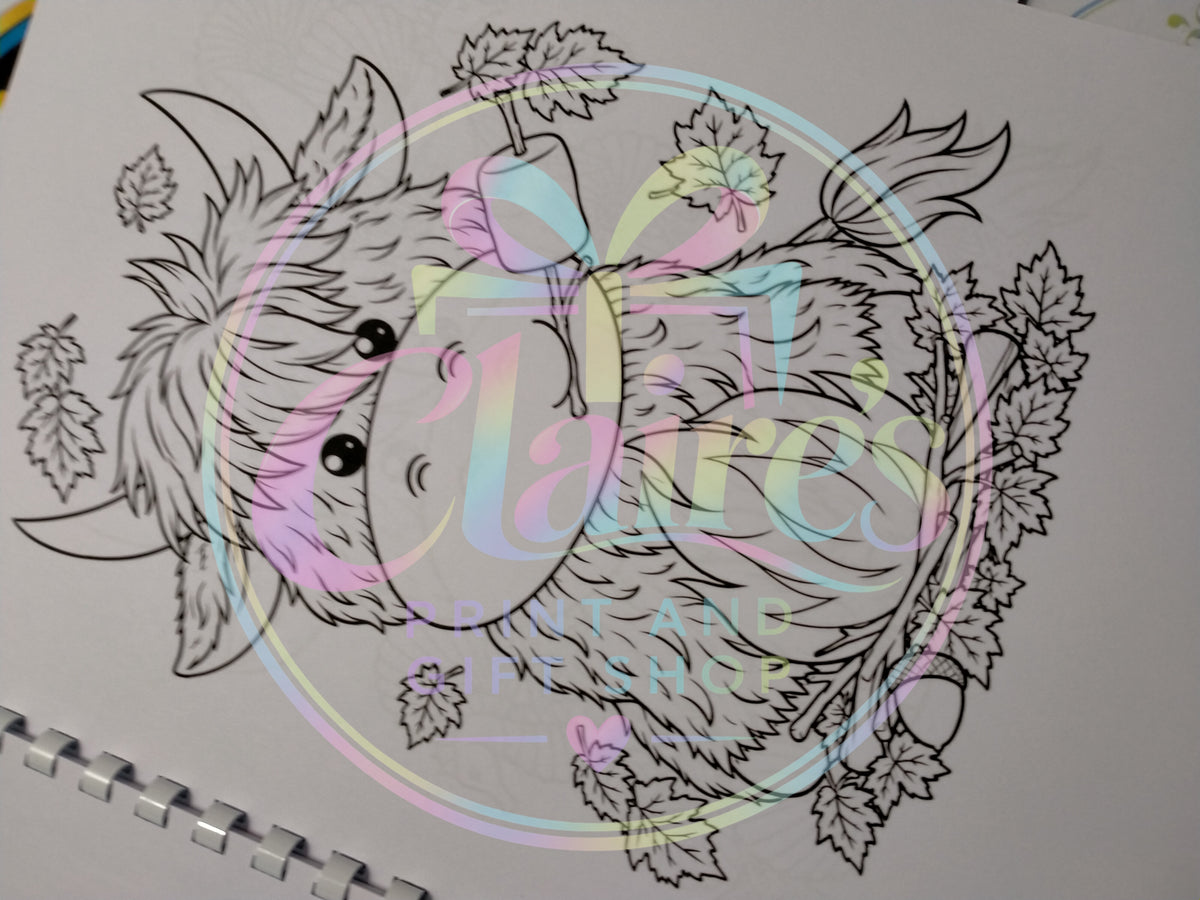 A4 Highland Cow Colouring Book